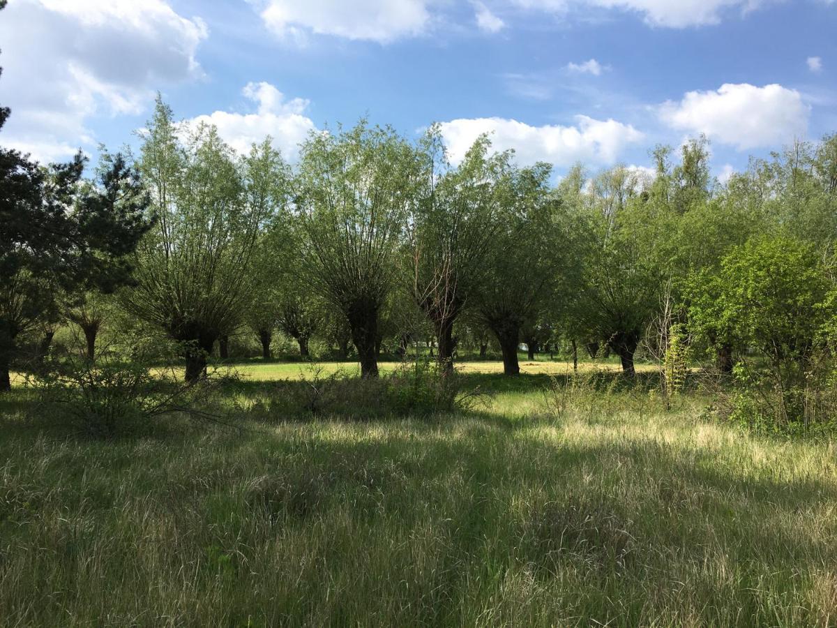Agroturystyka Kobylnica Nad Wisla Eksteriør bilde