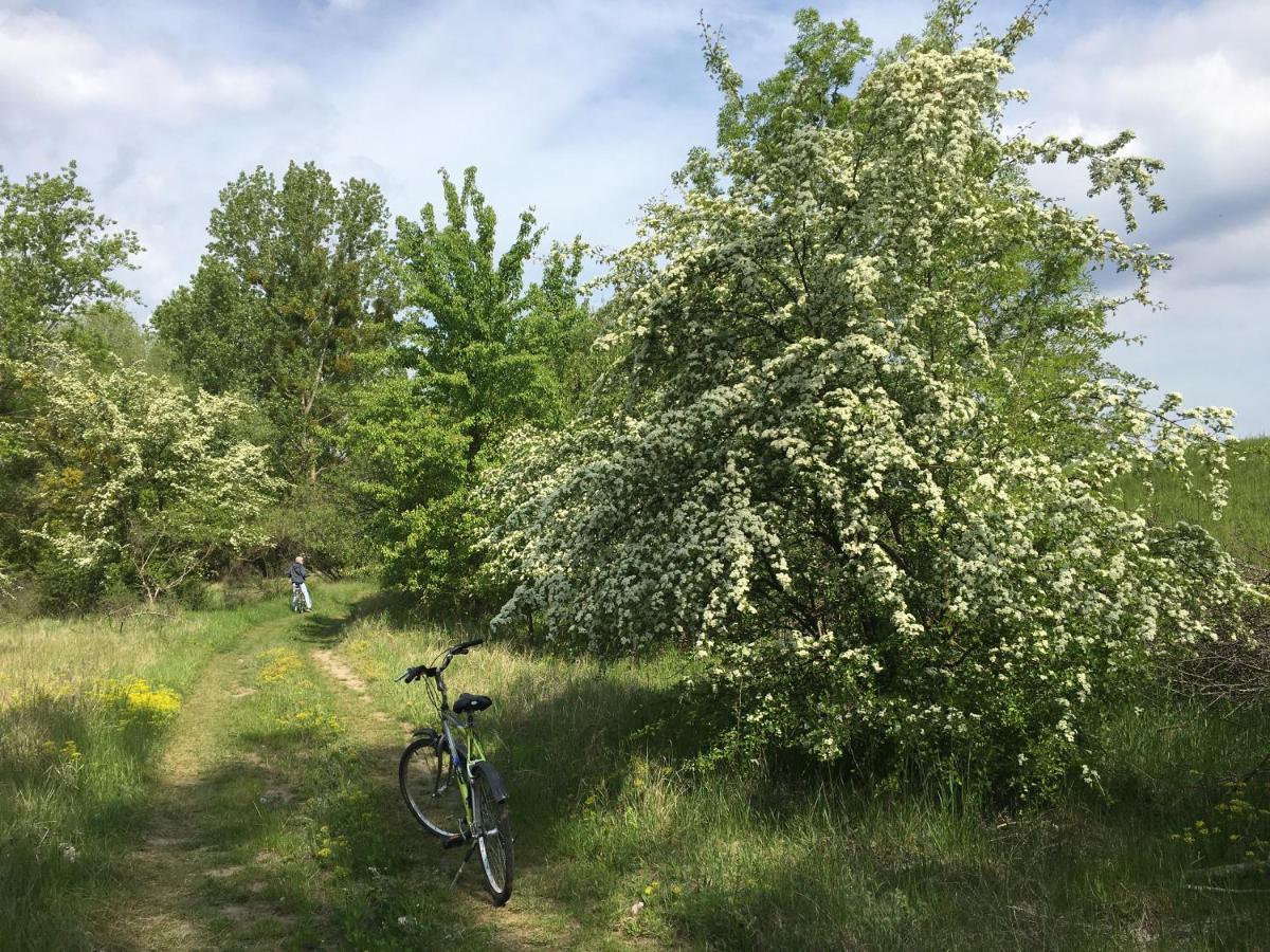 Agroturystyka Kobylnica Nad Wisla Eksteriør bilde
