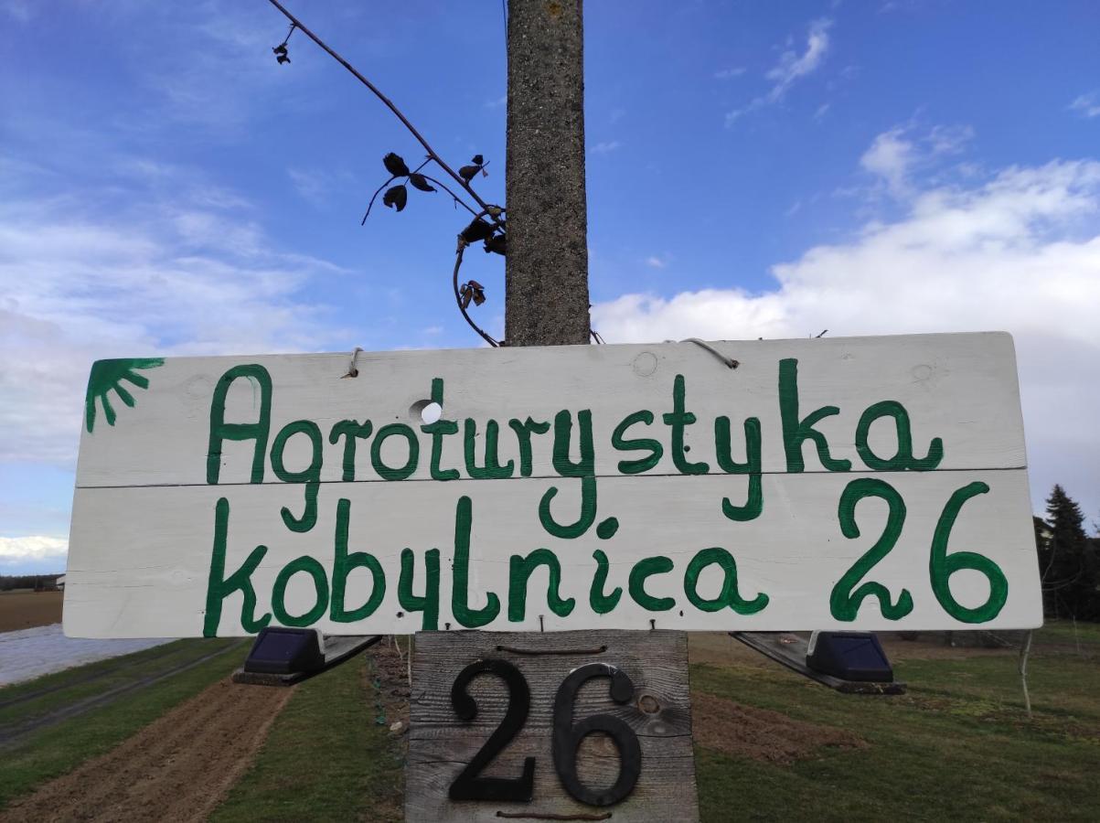 Agroturystyka Kobylnica Nad Wisla Eksteriør bilde
