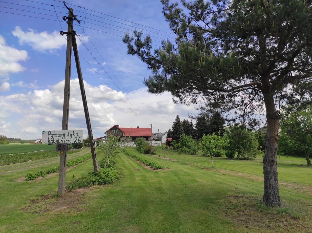 Agroturystyka Kobylnica Nad Wisla Eksteriør bilde