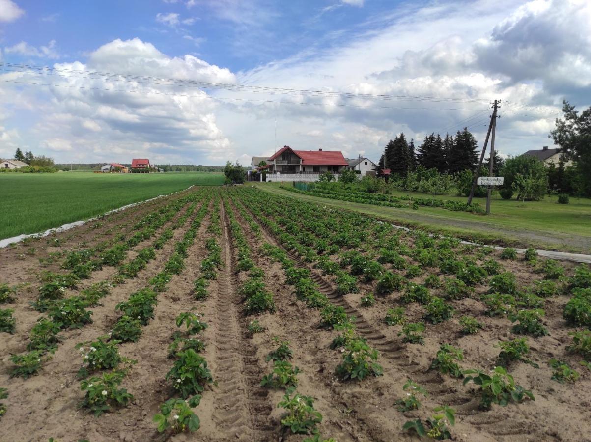 Agroturystyka Kobylnica Nad Wisla Eksteriør bilde