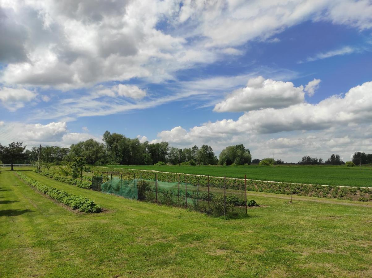 Agroturystyka Kobylnica Nad Wisla Eksteriør bilde