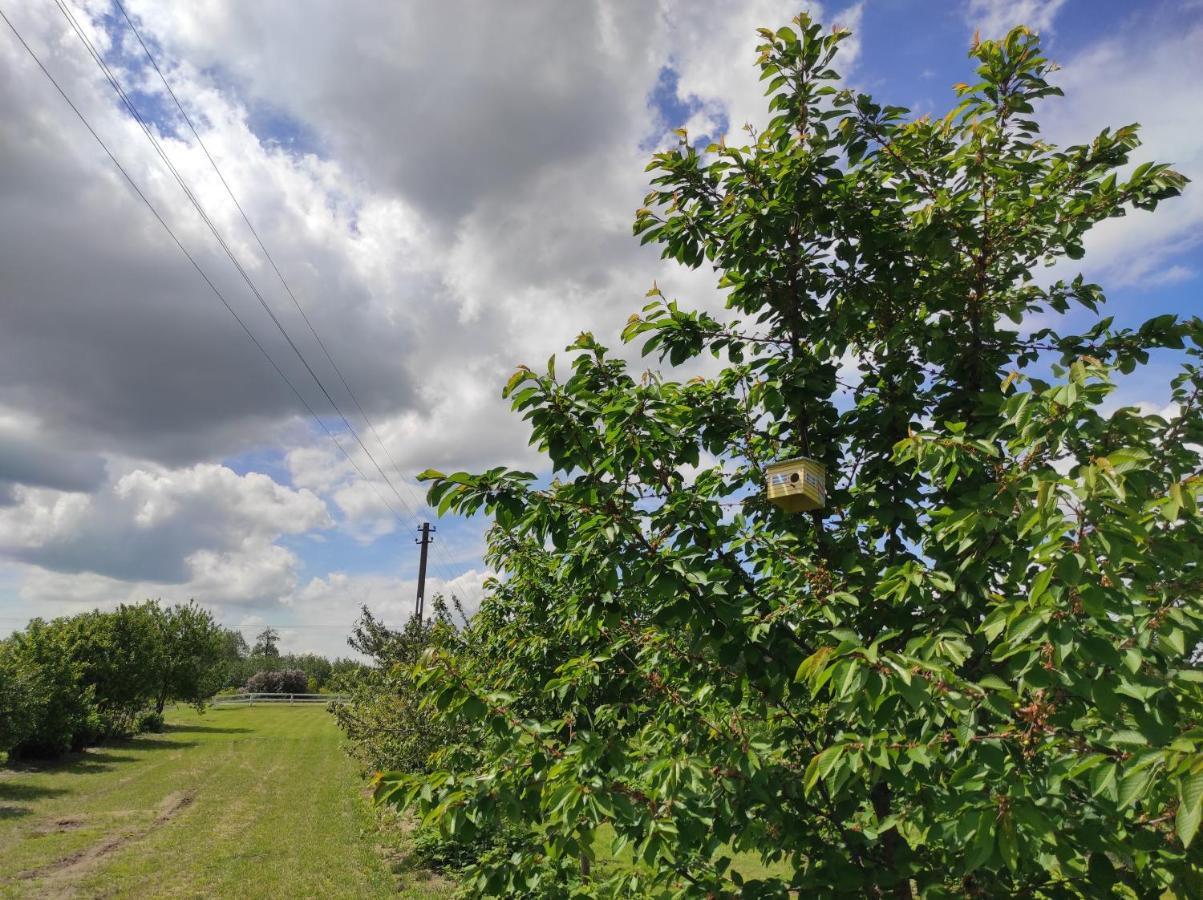 Agroturystyka Kobylnica Nad Wisla Eksteriør bilde